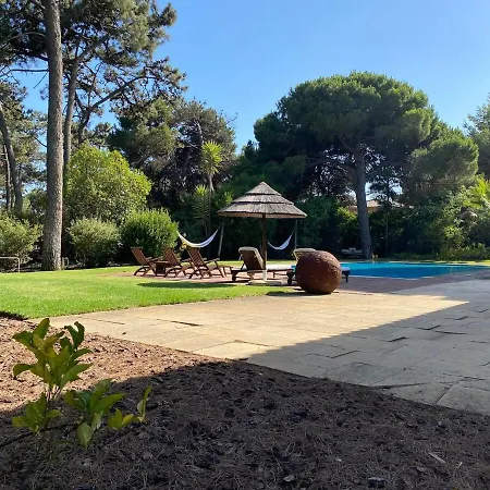 The Olive Vive El Lujo Sereno Entre Pinares Junto Al Atlantico 5 Minutos De La Playa Andando * Віавіа