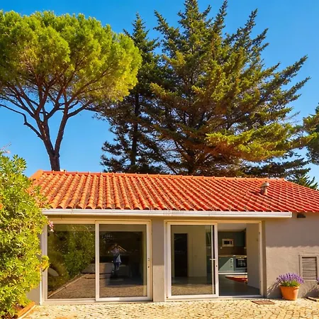 The Olive Vive El Lujo Sereno Entre Pinares Junto Al Atlántico 5 Minutos De La Playa Andando Villa Cascais